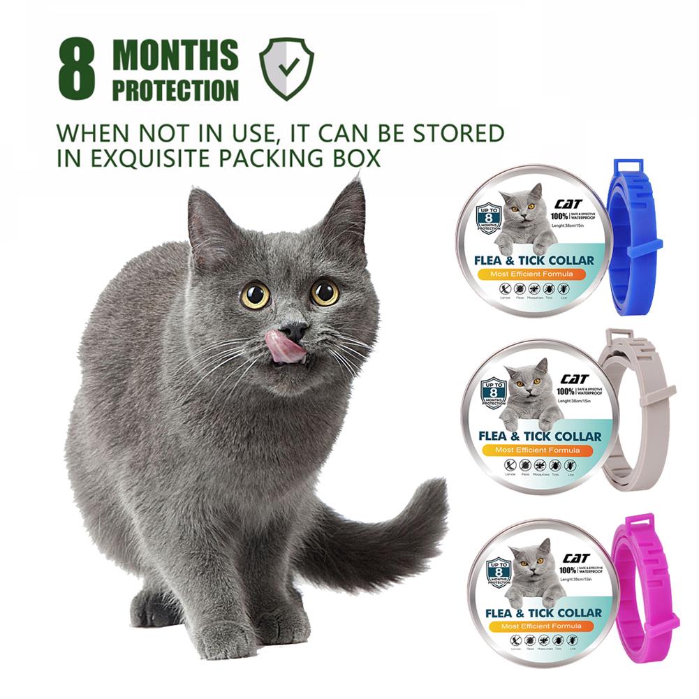 Buy Pet Flea Collar Dog Cat Safe Useful Tick Prevention Control
