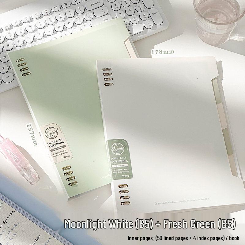 Detachable, High-Quality Loose-Leaf Notebook for Students and Graduates - Perfect for Back-to-School and Error Logging.