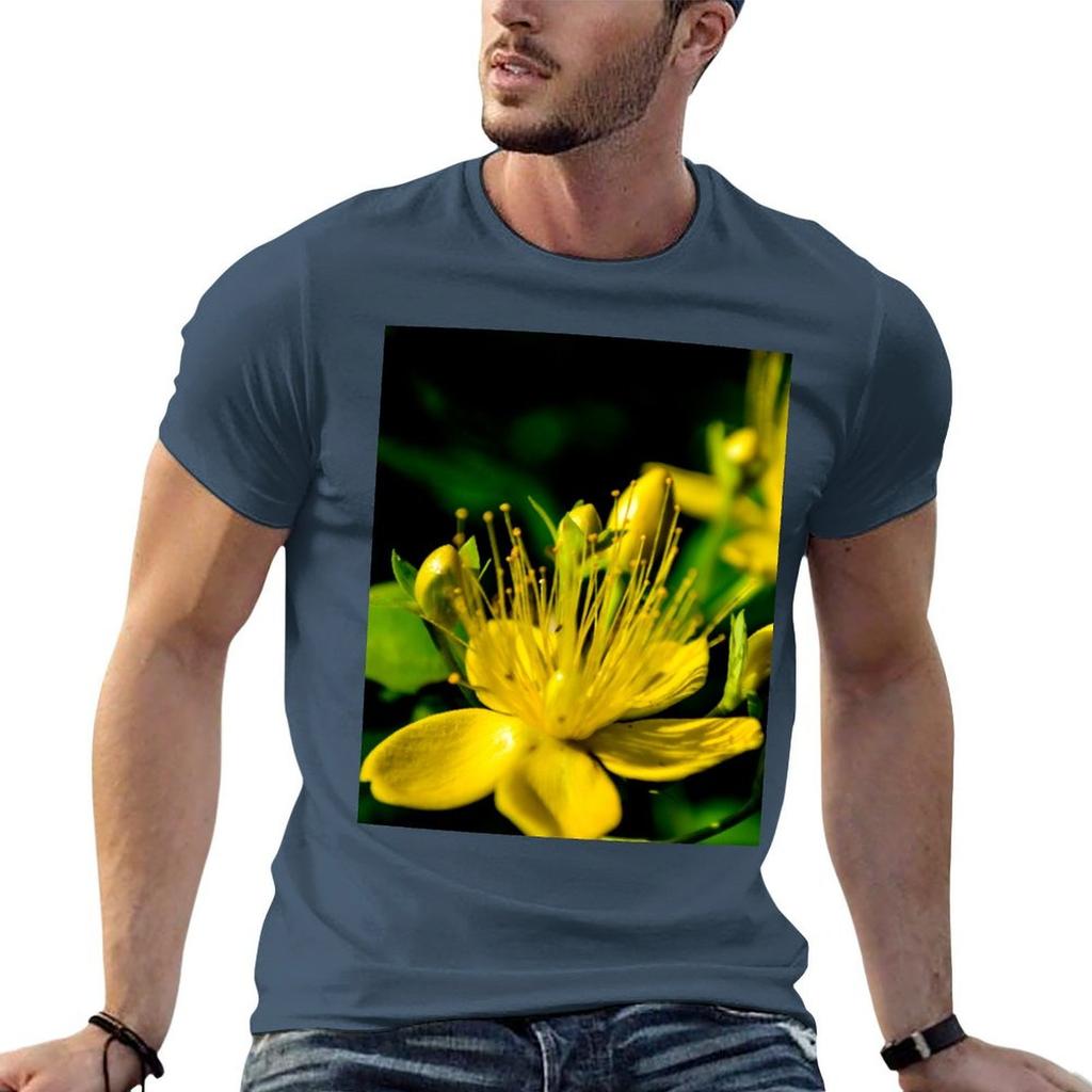 St Johns Wort Tshirt Unisex Tshirt Anime T Shirts Shirts Unisex Graphic
