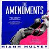 The Amendments by Niamh Mulvey Hardback Book 9781529079852