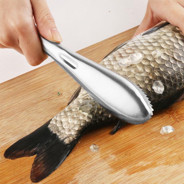 Stainless Steel Fish Scaler with Ergonomic Handle and Serrated Edge