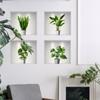 DIY Mural Art Livingroom Bedroom 3D Decal Greenery Bonsai Wall Stickers Creative Plants Potted