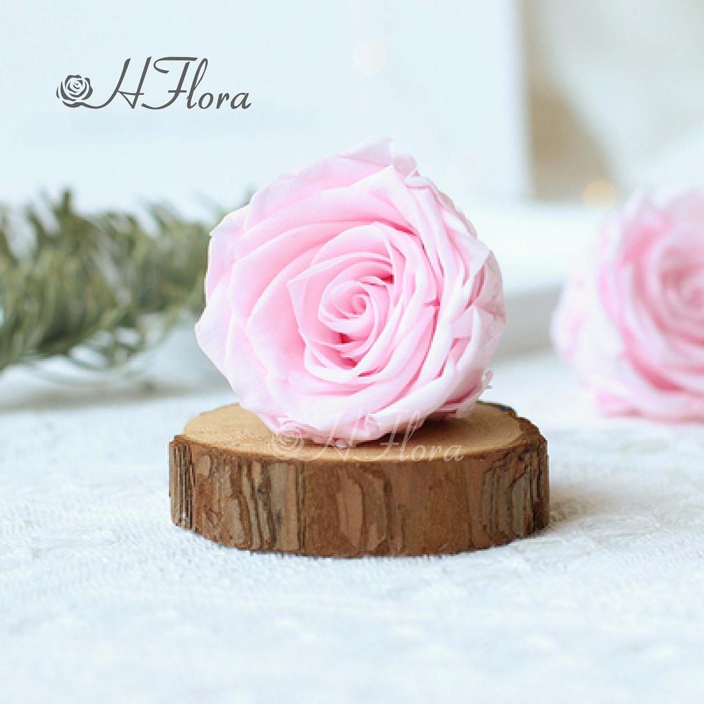 HFloral Hot Selling Customer Popular Rose Head 4~5 Cm Preserved Roses Box Eternal Mother's Day Graduation Day