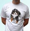 Berner weiß Kinder Jungen T-Shirt Bernersennenhund im Schnee Oberteil s s Kinder Baby