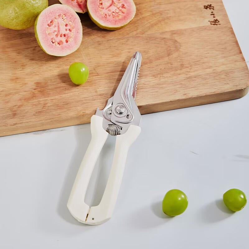 Zhang Xiaoquan 220mm Stainless Steel Kitchen Scissors