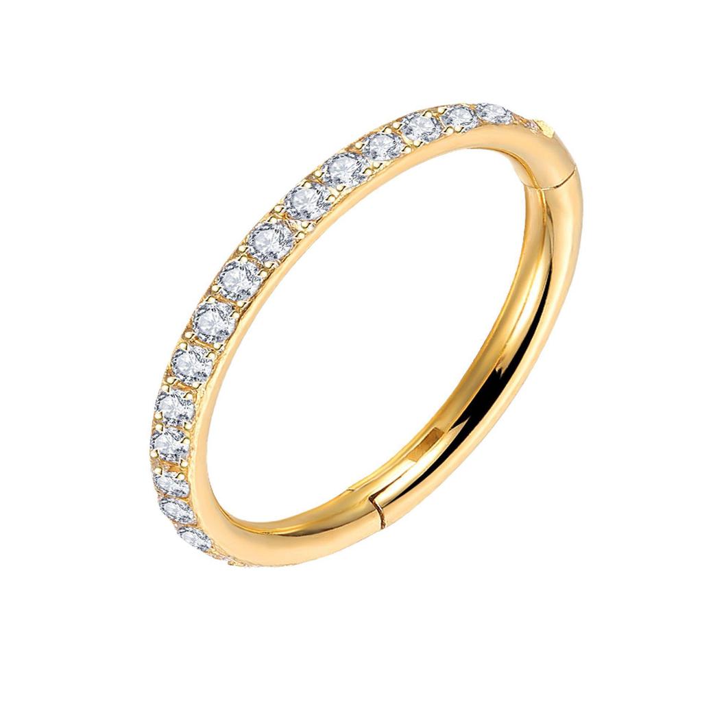 G23 Titan Zirkonia Högkvalitativa Kroppspiercing Smycken: Näspiercing, Stud, Örhänge, Ring, Clicker, Sömlös Ring
