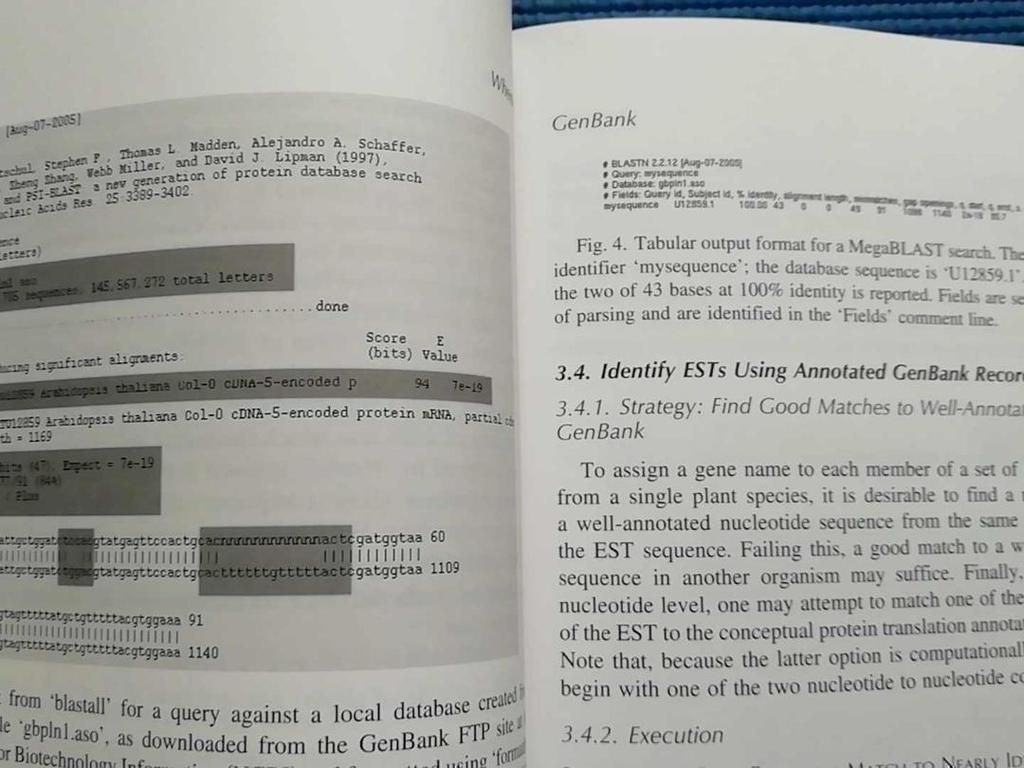 [USED] Book Plant Bioinformatics (cover Torn) English