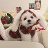 Ropa y calzado – Abrigos y chaquetas para perro