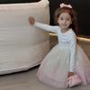 Children's Dress Girls' Long Sleeved Fluffy Dress Splicing Gradient Starry Sky Gauze Dress