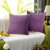 2 Pieces Velvet Solid Throw Case Decorative Cushion Decor for Living Room Couch 18 X Inch