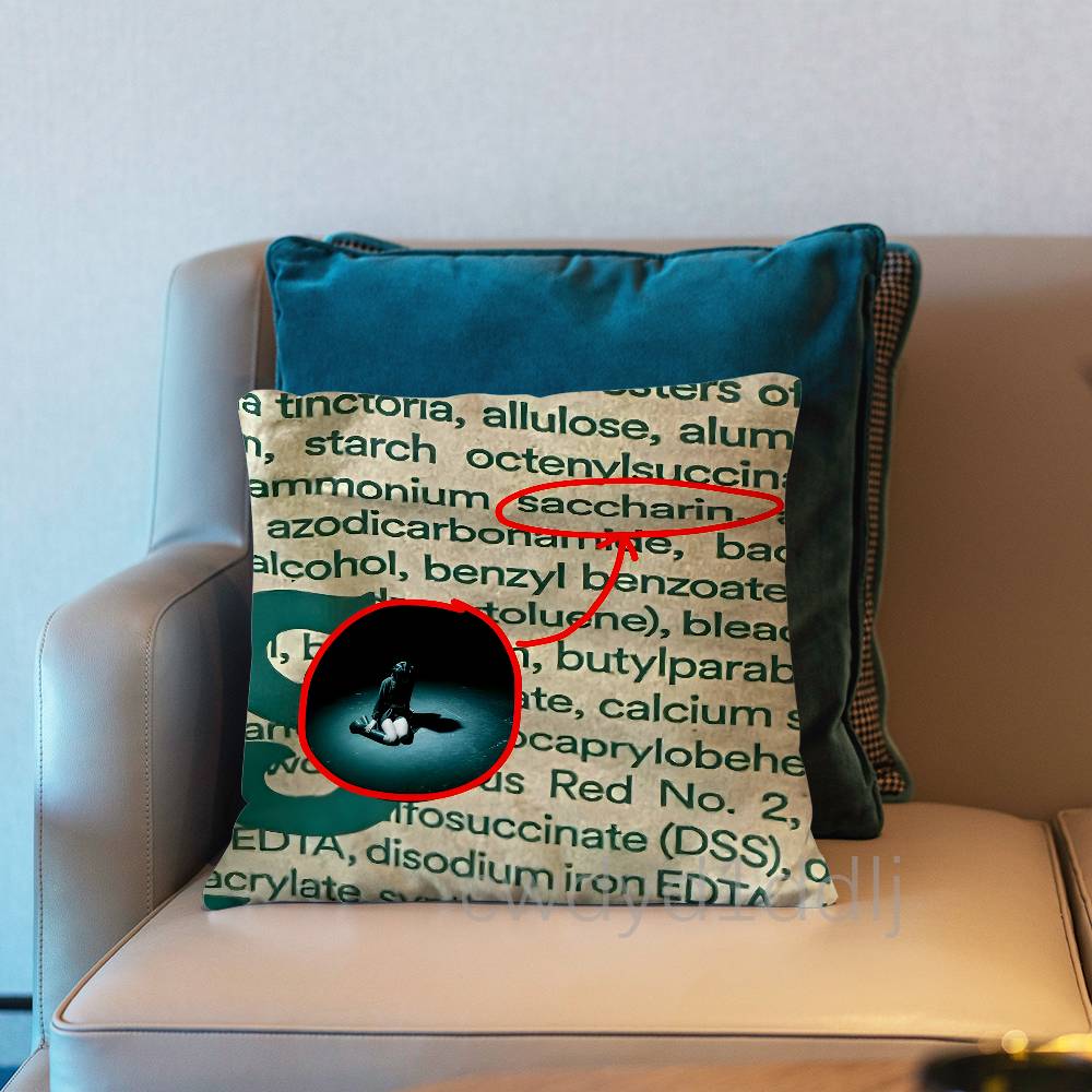 V-Violent Vira Band Cushion Cover Pillow Cover Decor Pillowcase Printed Cushion Case For Couch