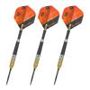 TARGET Target RVB G4 Generation 4 SWISS POINT STEEL 21g Raymond van Barneveld player model dart barrel dart set <190128>