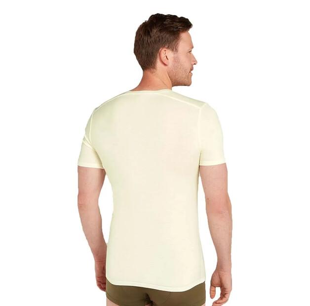 Icebreaker Базовый слой с коротким рукавом Merino 150 Anatomica V