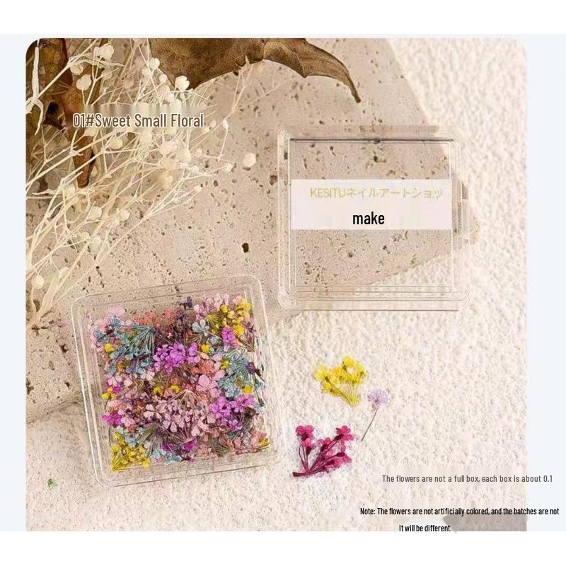 Japanese Fresh Dried Flower Nail Art Decorations: Colorful Petals & Mixed Materials for DIY