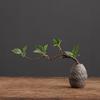 Chinese Vintage Ceramic Vase Hydroponic Flower Arrangement Container Living Room Office Dining Table Floral Vase Home Decoration