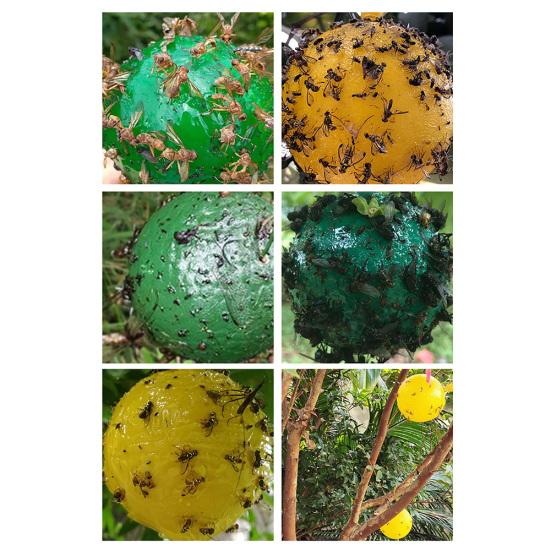 Fly Trap Hanging Sticky Round Ball Mosquitoes Insect Catcher for Park Kitchen