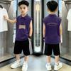 Boys' Trendy Cotton Polo Shirt and Vest Set - Sleeveless Lapel T-shirt, Summer Two-Piece In Medium & Large Sizes