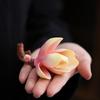 Ceramic Color-changing Tea Pet Ornaments Magnolia Branches Shape Tea Ceremony Chinese Style Study Tea Table Decor Crafts