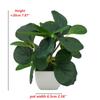 Umelé rastliny Bonsai Malý strom Simulovaný aloe Strom Črepníkové rastliny Falošné kvety Kancelársky stôl Črepníkové ozdoby Dekorácia do domácej záhrady
