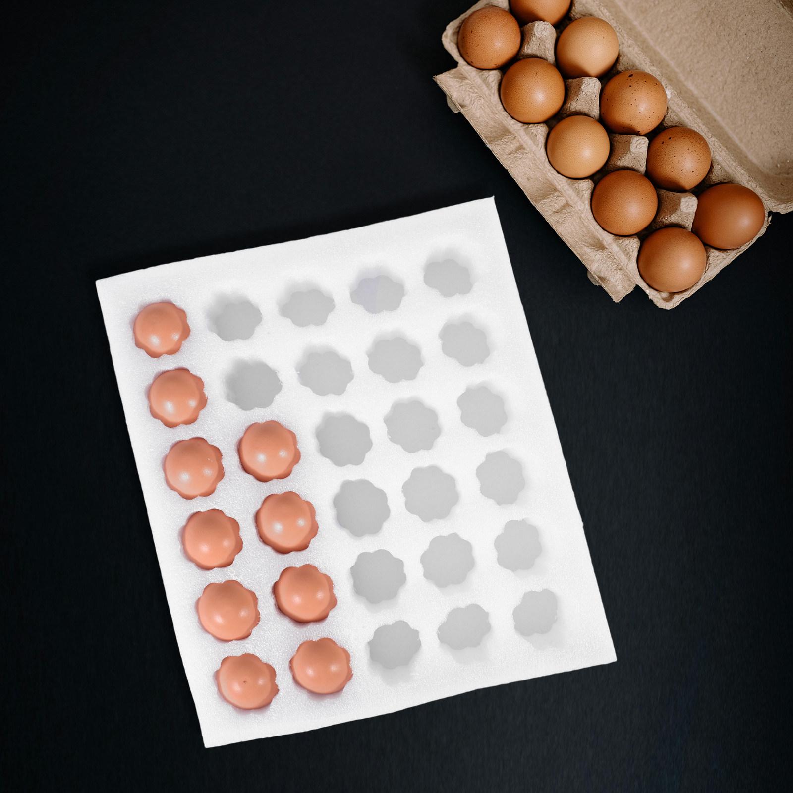 

1Set Thickened Pearl Cotton Egg Tray Foam Egg Carrier for Chicken Duck Eggs Farm Market Fridge Storage Shipping Container 24.5X21X7.5CM