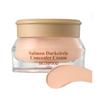 Skinfood Crema Correttore Occhiaie al Salmone 10g (Opzioni: N.0 Salmone Chiaro / N.1 Salmone Fiorito / N.2 Salmone Beige)