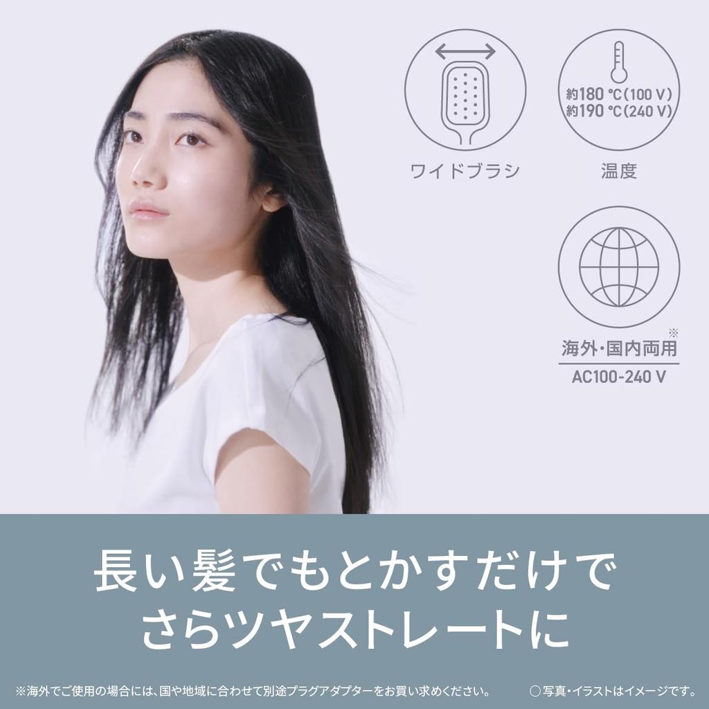 Panasonic Ionity Negative Ion Brush Iron, Straight, Black, EH-HS31-K, International Compatible