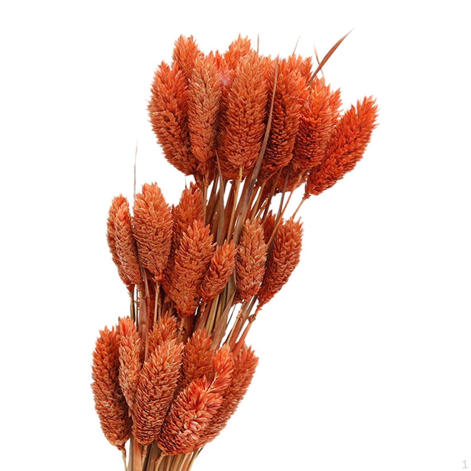 

Красивый букет из сухоцветов для украшения особого случая Orange