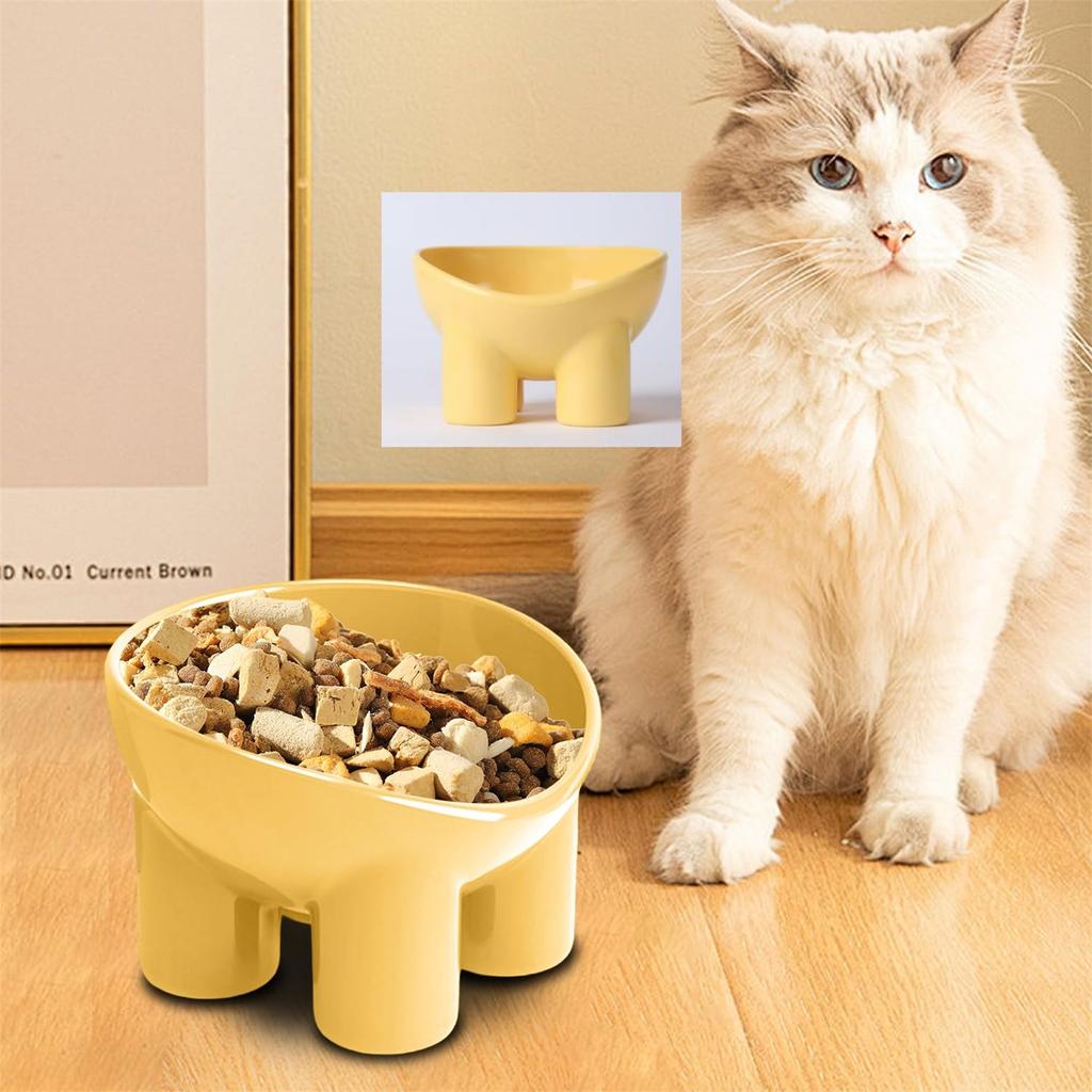 Elevated Tilted Pet Bowl – Ergonomic Raised Feeding Dish For Small Dogs And Cats – Non- Macaron Color Food And Water Bowl