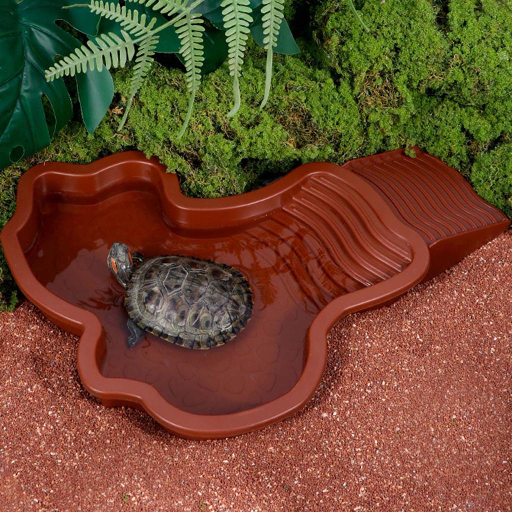 Adaptable Animal Feeding Plate Durable ABS Construction Shallow Water Dish For Shelled Species Lizards