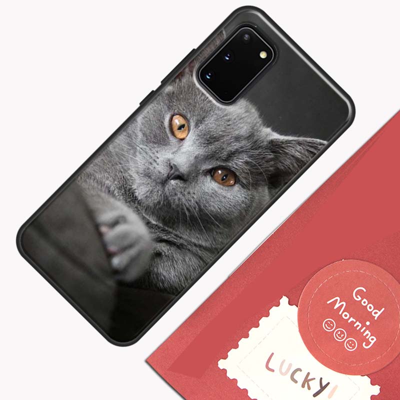 Beautiful Grey British Shorthair Cat Phone Case For Samsung Galaxy S26 S25 Ultra S20 S21 S22 S23 S24 S10 Plus S25 FE Cover Shell