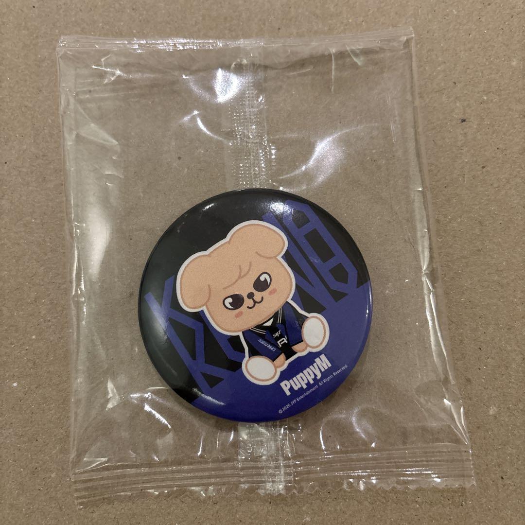 

[USED] Straykids KARMA Popst Mirror Papim