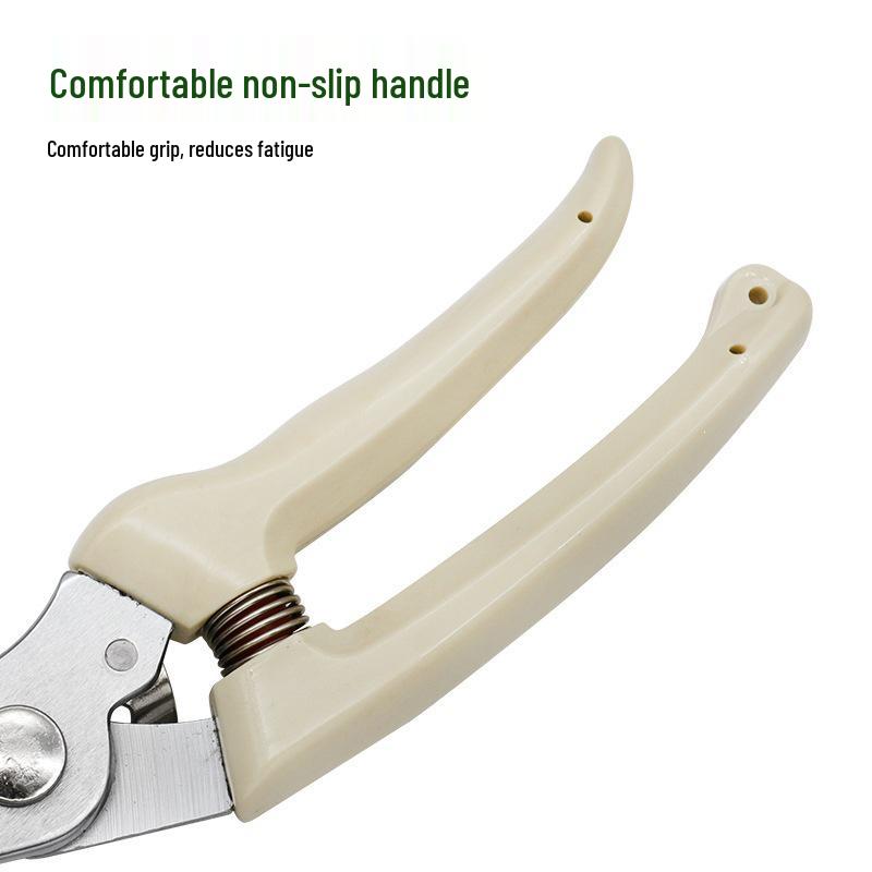 Stainless Steel Pruning Shears for Flower, Branch, and Fruit Tree Grafting
