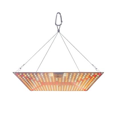 Lampa do roślin LED Sukulenty Wypełniające Światło 50W Pełne Spektrum Roślin Rosnące Światło Quantum Plate Szklarnia