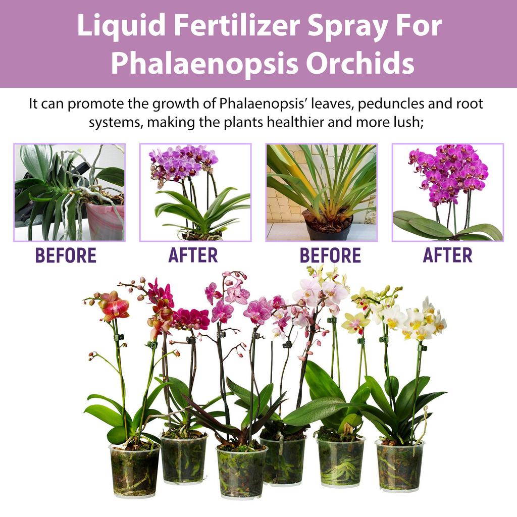 Spray Booster Fioritura Orchidee 100ml - Concime Professionale per Orchidee, Nebulizzazione Nutriente per la Crescita delle Foglie, Supporta lo Sviluppo Sano della Pianta