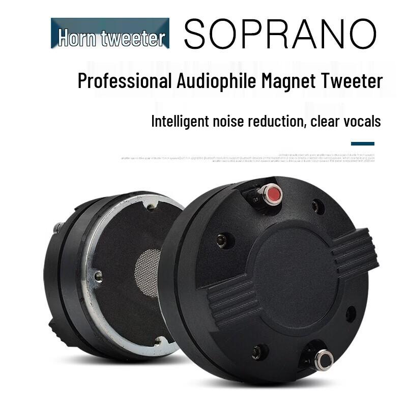 KAXISAIER A12S 12-inch Passive Full-Range Speaker CN Plug (adapter Included) (CN Version)