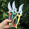 Ciseaux de jardin professionnels Cisailles en acier inoxydable Sécateur à bypass Élagage d'arbre Coupe de branches épaisses Ciseaux à bec Sécateurs manuels tranchants