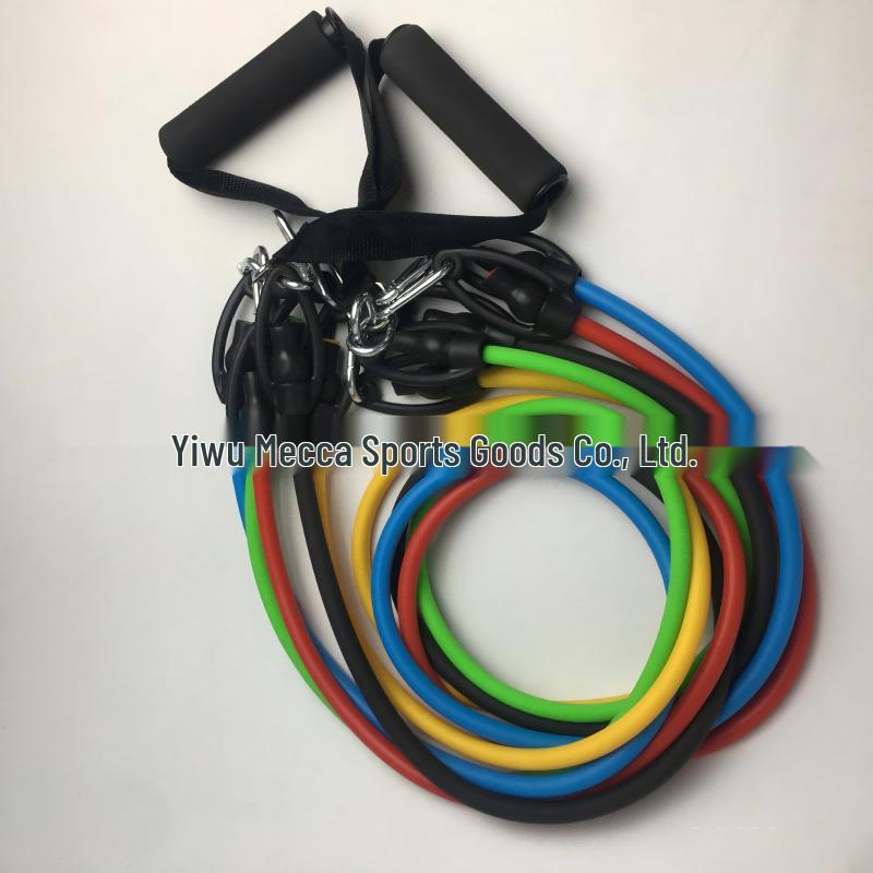 YTYIN 11-Piece Resistance Band Set CN Plug (adapter Included)