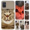 Pet Cat Funny Memes Phone Case for Samsung Galaxy A52 A32 A22 A12 A02S A50S A30S A10S Note 20 Ultra 10 Plus S10 A31 A20 A71 A72