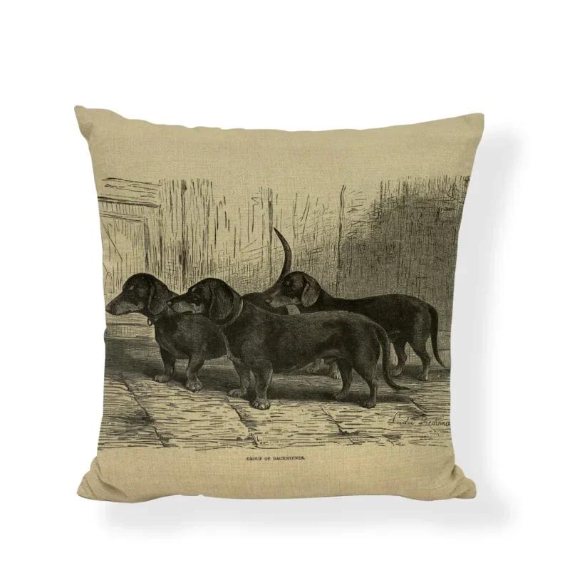 New Design Dog Cushion Covers Cute Animal Seagull Butterfly Painted Home Decor Living Room Couch Gifts Throw Pillows Cases