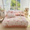 Winter Thick Warm Milk Coral Fleece Bedding Set Ins Fresh Duvet Cover Single