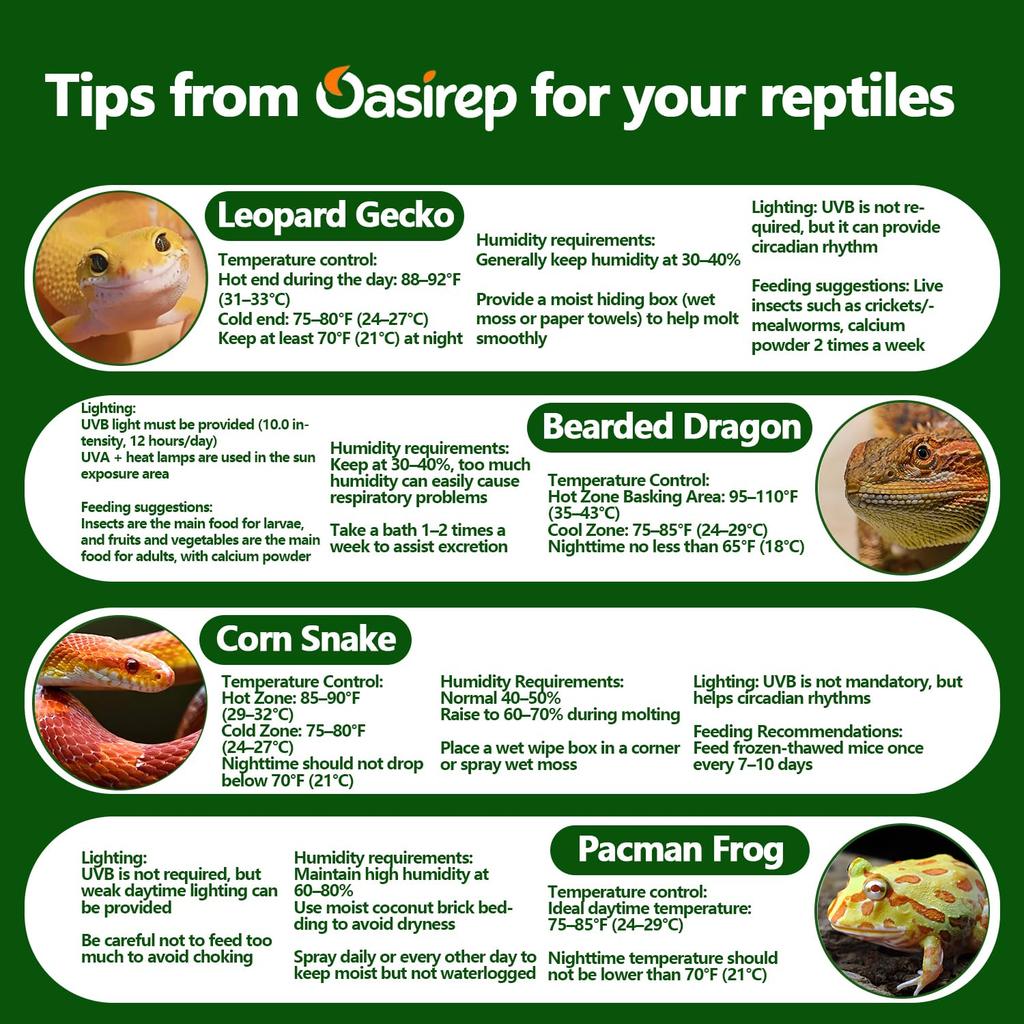 Reptile Thermometer and Hygrometer – Fast Accurate LCD Digital Temp & Humidity Meter for Bearded Dragon Tank Accessories, Lizard, Snake, Turtle,