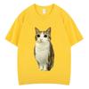 Cat Owl Funny Meowl Meme Brainrot Graphic Tshirts Unisex Unisex Fashion Short Sleeves Tshirt Cotton Oversized T Shirts Streetwear