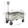 Accesorii pentru bagaje – Cărucioare pentru bagaje