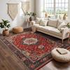 RAKKS Soft Velvet Vintage Moroccan Style Area Rug Non-Slip Indoor Outdoor Carpet for Living Room Bedroom Beside Sofa Home Decor
