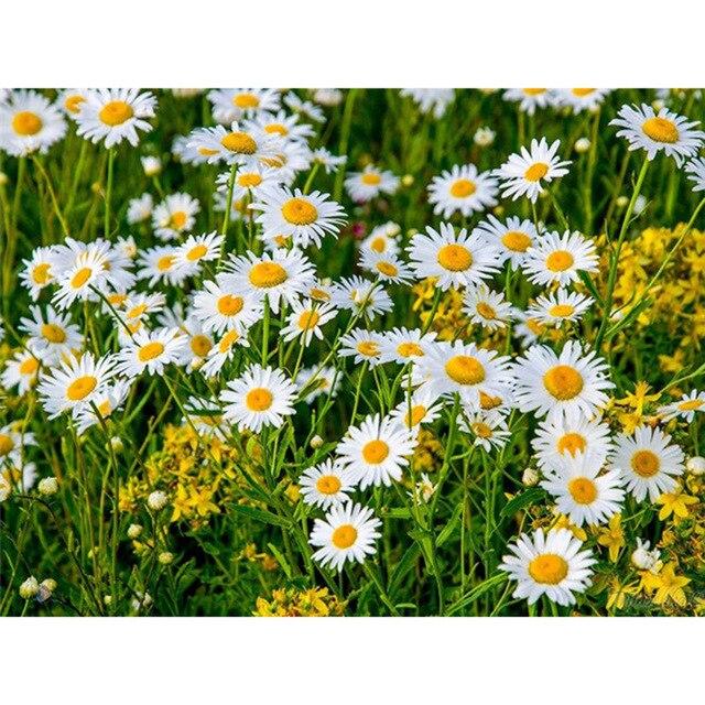 Flower Diamond Painting Accessories 5D DIY Diamond Mosaic Embroidery Cross Stitch Full Round Square Rhinestone Home Decoration