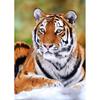5D DIY Diamond Painting Full Round Drill Animal Tiger Cross Stitch Mosaic Art Oil Painting Diamond Embroidery Home Decoration