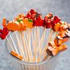WTEMPO Elegant Fall Party Decorations Pumpkin & Maple Leaf & Acorn Designs Skewers for Thanksgiving Day Halloween Harvest Parties Festive Party