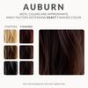 Indische Henna-Auburn natürliche Haarfarbe Pulver Farbstoff Conditioner Packung von 60 g
