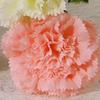 10Pcs Lifelike Artificial Carnation Silk Fake Bouquet Floral Arrangement Flowers  Mother's Day