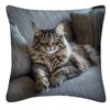 Sofa Pillow Pillowcase Skin-friendly Short Plush Cute Animal Cat Pillow Cover Living Room Cushion Cover Without Core